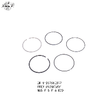 SEGMENT N20